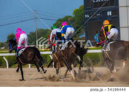 佐賀競馬 佐賀競馬 54196444