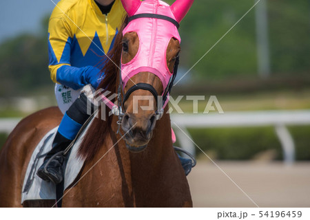 佐賀競馬 54196459