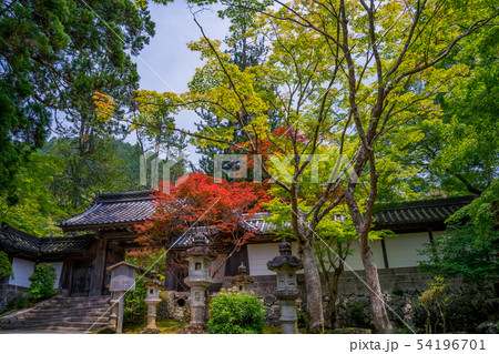 青紅葉の西明寺 青紅葉の西明寺 54196701