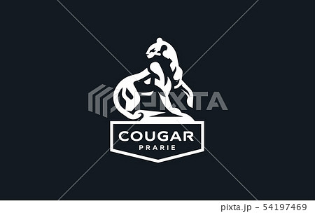 The image of a cougar or panther. The image of a cougar or panther. 54197469