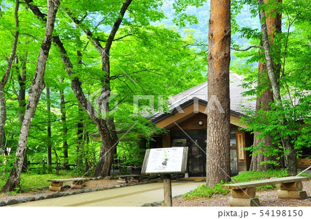 塩原温泉　新緑と塩原温泉ビジターセンター 54198150