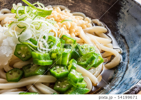 冷やしぶっかけうどん 冷やしぶっかけうどん 54199671
