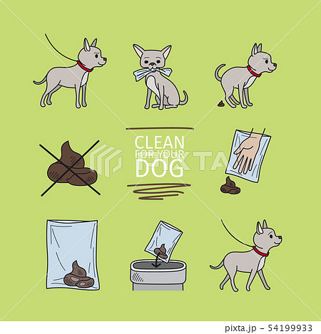 Clean up after your dog Clean up after your dog 54199933