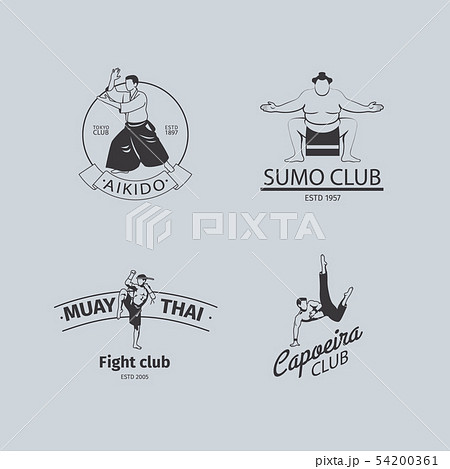 Illustration of Fighter for sport logo, fight club, team 14310549