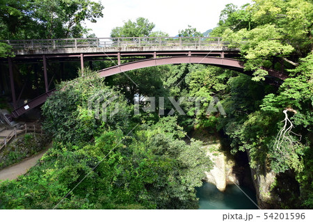 猿橋 54201596