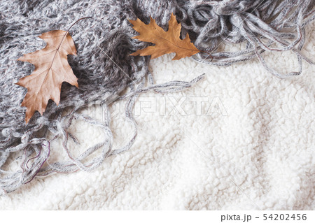 Autumn still life. Dry oak leaves on a warm soft Autumn still life. Dry oak leaves on a warm soft 54202456