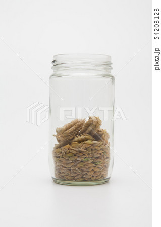 Ears wheat and grains in a glass bottle Ears wheat and grains in a glass bottle 54203123