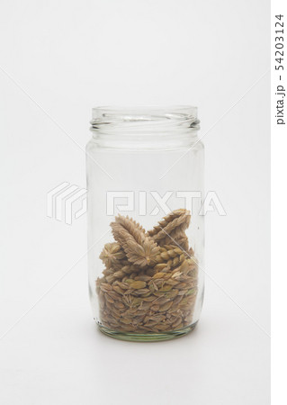 Ears wheat and grains in a glass bottle 54203124