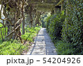 Spring garden with walking path under pergola 54204926