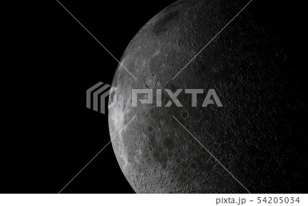moon moon 54205034