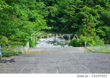 蓮ダム上流の青田展望所 蓮ダム上流の青田展望所 54205903