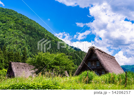 富山県 世界遺産 五箇山 菅沼合掌造り集落 初夏の写真素材