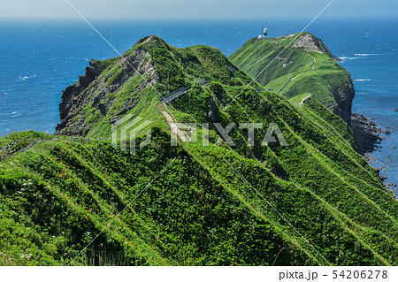 神威岬全貌 54206278