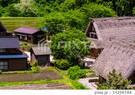 (富山県)世界遺産 五箇山 菅沼合掌造り集落 初夏 (富山県)世界遺産 五箇山 菅沼合掌造り集落 初夏 54206588