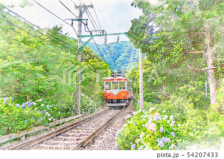 水彩画風] 箱根登山鉄道とあじさいの風景のイラスト素材