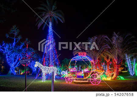 沖縄 冬の東南植物楽園 イルミネーション クリスマスツリーと光の馬車の写真素材