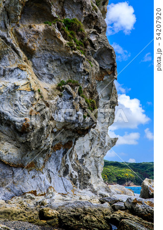 初瀬の岩脈 【長崎県壱岐市】 初瀬の岩脈 【長崎県壱岐市】 54207920