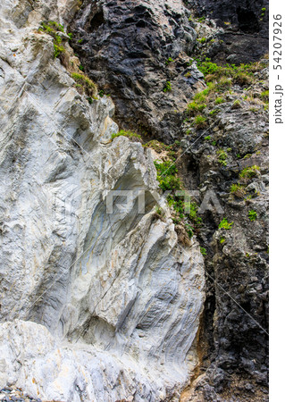 初瀬の岩脈　【長崎県壱岐市】 54207926