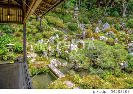 楊谷寺の庭園 54208108