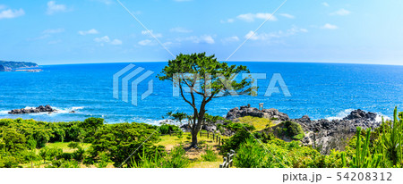 少弐公園　パノラマ　【長崎県壱岐市】 54208312