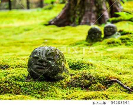 京都 三千院 わらべ地蔵 京都 三千院 わらべ地蔵 54208544