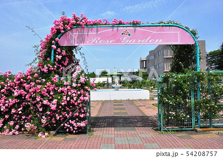 日本大学生物資源科学部のバラ園ゲート 54208757