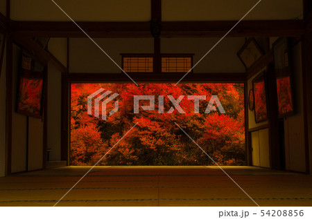 秋の寺、紅葉、赤い額縁庭園 秋の寺、紅葉、赤い額縁庭園 54208856