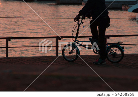夕暮れの港、自転車のシルエット。 54208859