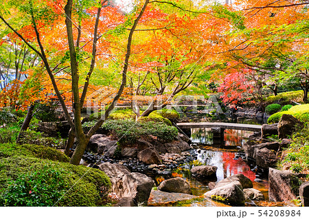 大田黒公園・紅葉 54208984