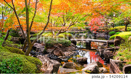 大田黒公園 紅葉の写真素材