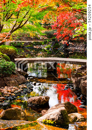 大田黒公園・紅葉 54209254