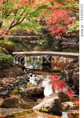 大田黒公園・紅葉 54209255