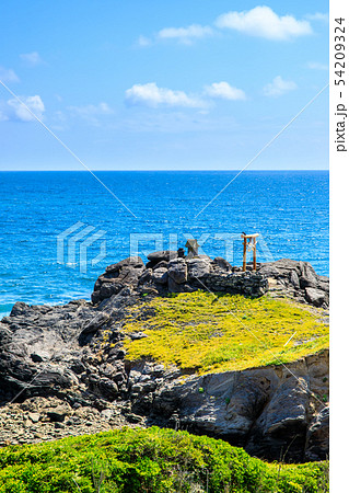少弐公園（龍蛇神神社）　【長崎県壱岐市】 54209324