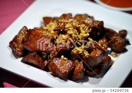 pork, grilled pork or roasted pork 54209716