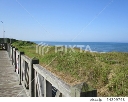 日本海 54209768