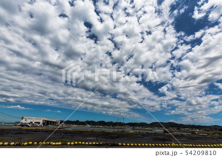 夏だ！、夏だ！、海の青、空の青、白い雲 54209810