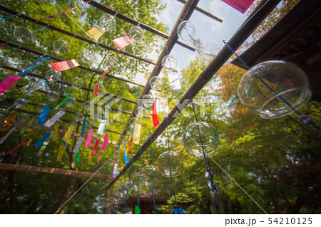寺 寺 54210125