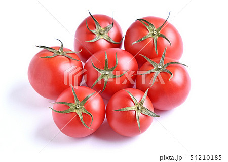 フルーツトマト 54210185