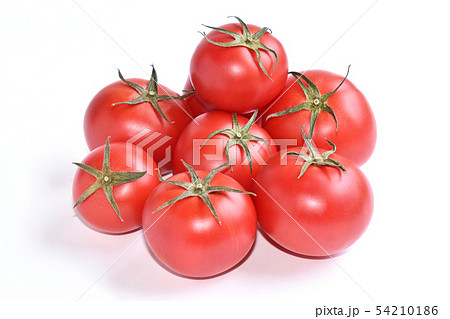 フルーツトマト 54210186