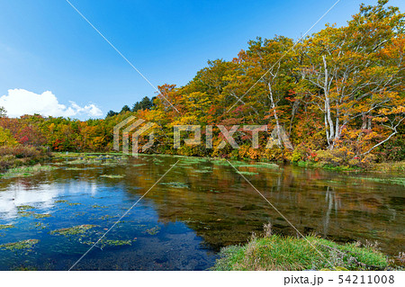 【青森県八甲田山の紅葉】グダリ沼は八甲田の雪解け水が伏流水となり湧き出ていると思われている神秘的な沼 【青森県八甲田山の紅葉】グダリ沼は八甲田の雪解け水が伏流水となり湧き出ていると思われている神秘的な沼 54211008