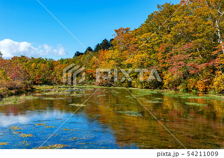 【青森県八甲田山の紅葉】グダリ沼は八甲田の雪解け水が伏流水となり湧き出ていると思われている神秘的な沼 【青森県八甲田山の紅葉】グダリ沼は八甲田の雪解け水が伏流水となり湧き出ていると思われている神秘的な沼 54211009
