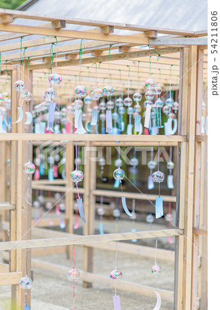 京都府・東光院 風鈴祭り 京都府・東光院 風鈴祭り 54211806