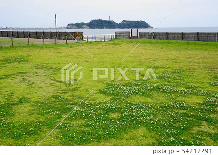 6月 江ノ島53湘南海岸公園と江の島 6月 江ノ島53湘南海岸公園と江の島 54212291
