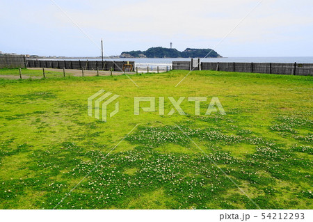 6月　江ノ島51湘南海岸公園と江の島 54212293