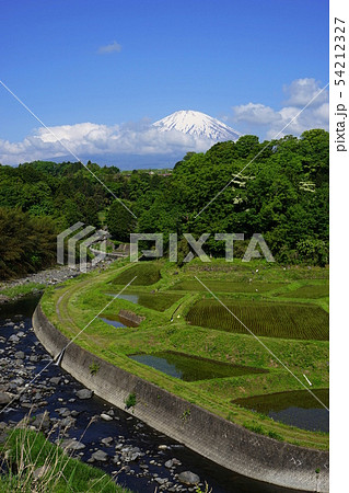 5月 小山町57稲作の苗と竹之下棚田と富士山 5月 小山町57稲作の苗と竹之下棚田と富士山 54212327