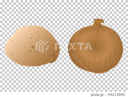 土豆和洋蔥 土豆和洋蔥 54213093