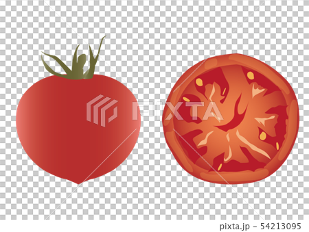 蕃茄 蕃茄 54213095