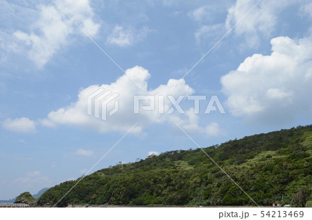 南国沖縄の快晴の青空と島の緑 54213469