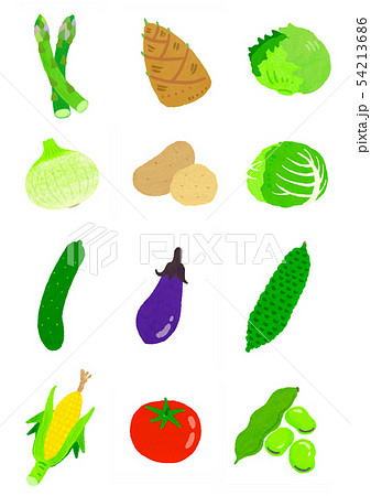 春夏野菜 Vegetablesのイラスト素材