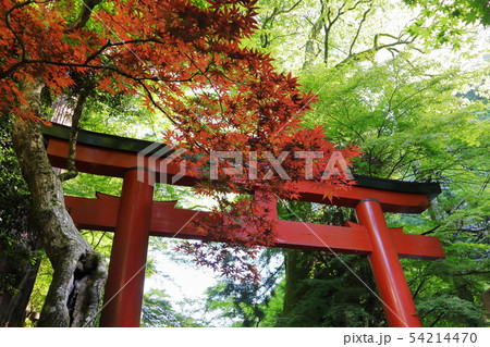 京都 貴船神社 京都 貴船神社 54214470